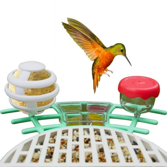 BirdKiss Multifunction Bird Feeder with Suet Ball, 1.76 oz Capacity, Accessories