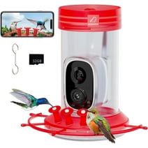 Birdkiss Hummingbird Feeder with Camera, Bird Watching Camera with AI Identify Hummingbird Species, Ant Moat, Bee Proof, 32 Ounces, Gifts for Family Birdlover, Red