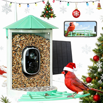 Birdkiss Smart Bird Feeder with Camera, Metal Squirrel Proof Bird Watching Cameras with AI Identification & Solar Panels, Gifts for Bird Lovers, Mint Green