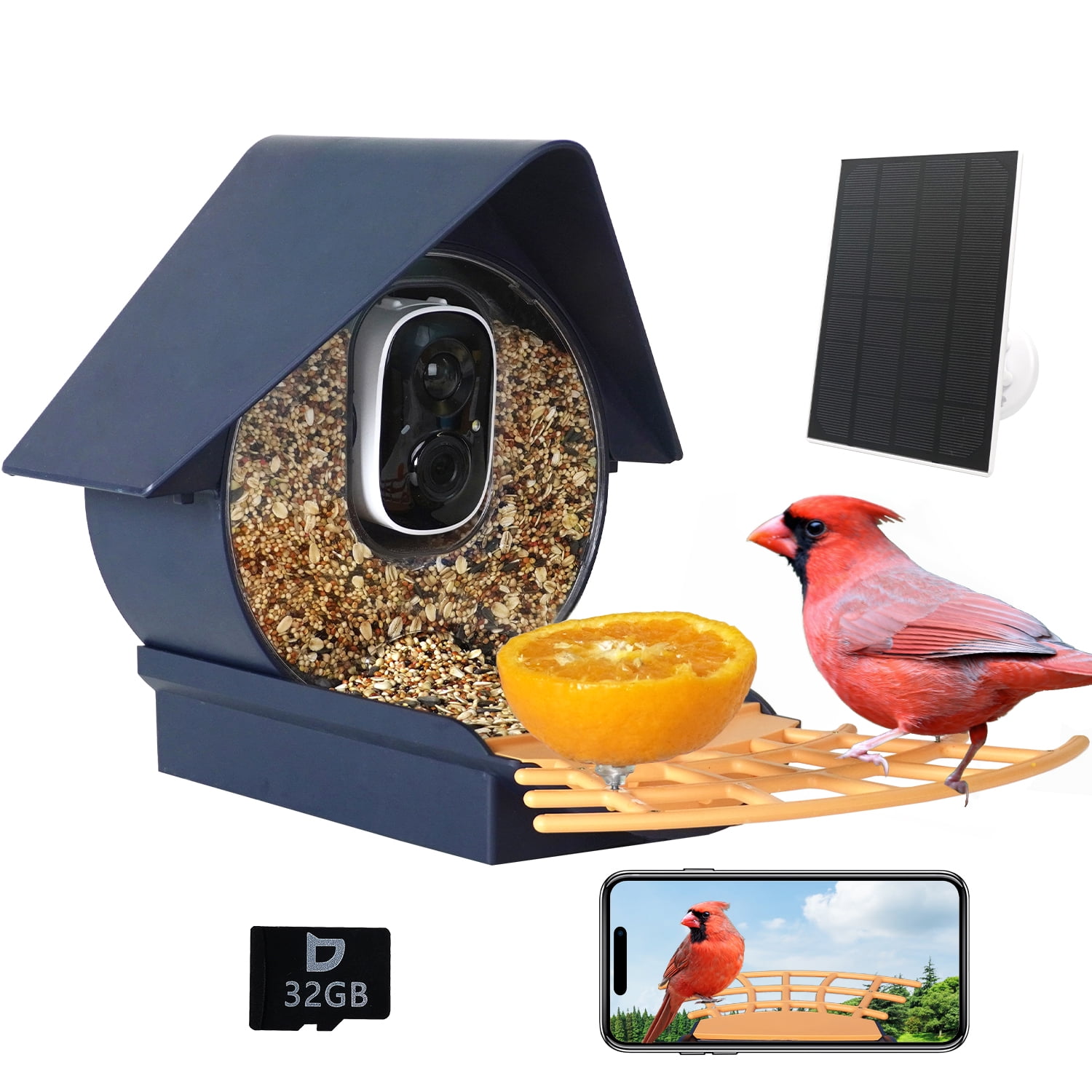 Birdfy- Smart Bird Feeder Camera, Auto-Record & Notify Bird Visits,  Identify 6000+ Bird Species,Bird feeder with Camera,Bird Box Camera, Bird  Camera, Xmas Gift for Bird Lovers(Birdfy AI +Solar) : : Garden