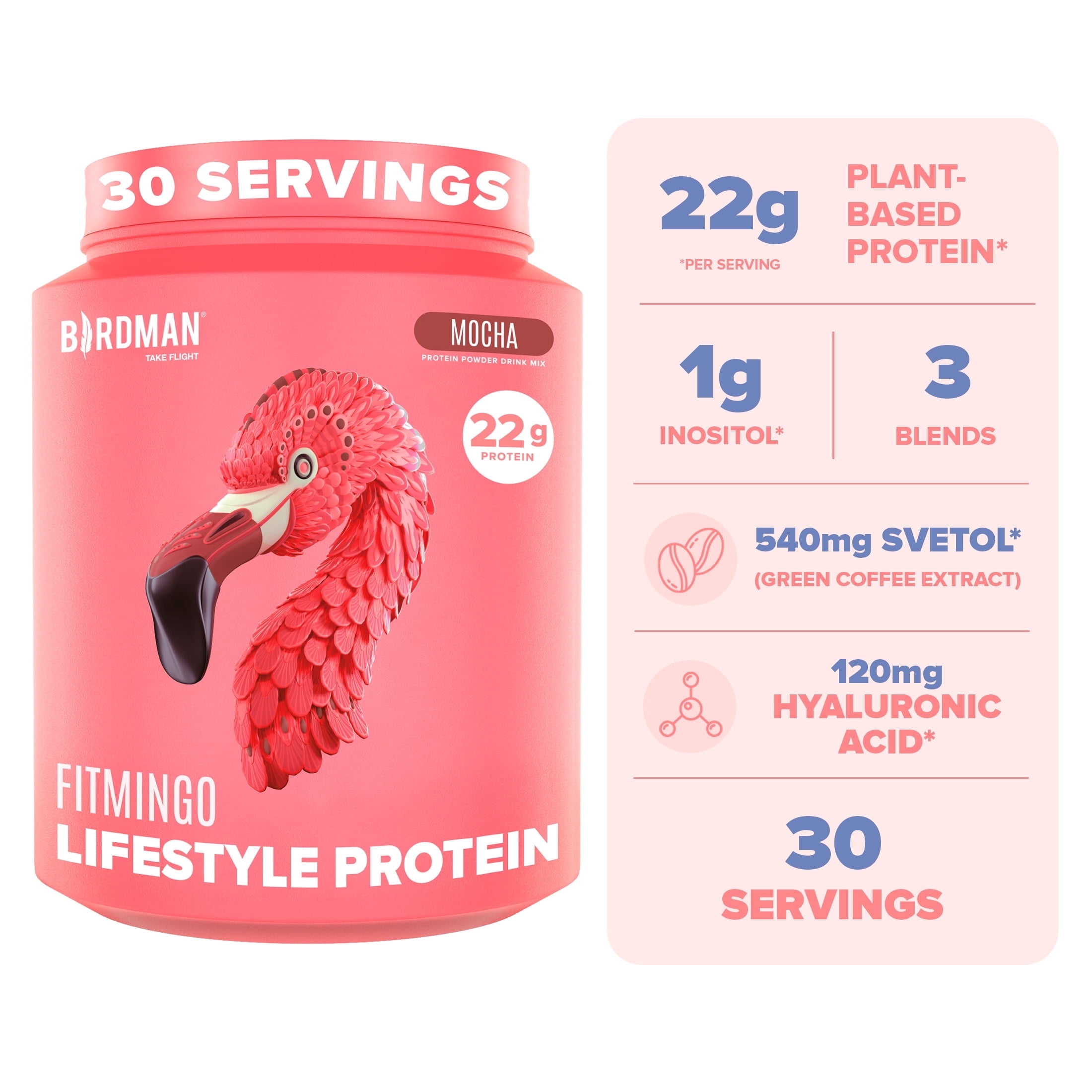 BIRDMAN Fitmingo Vegan Protein Powder with Inositol, 3 Blends, Mocha, 30 Servings, 2.24lb