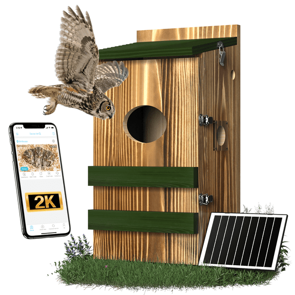 BirdoorKam Owl House with Camera Solar Powered,4G Cellular, Anti-Corrosion Varnish Pinewood,Owls Nesting Box for Screech owl, 2K HD, Instant Alerts, Night Vision,Nest Box for OutsideNOT WI-FI)