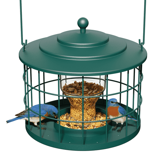 Birdream Squirrel Proof Metal Bird Feeder, Outdoor Hanging Cage Bird Feeder for Small Birds, Starling Resistant, Green, 1 Pack