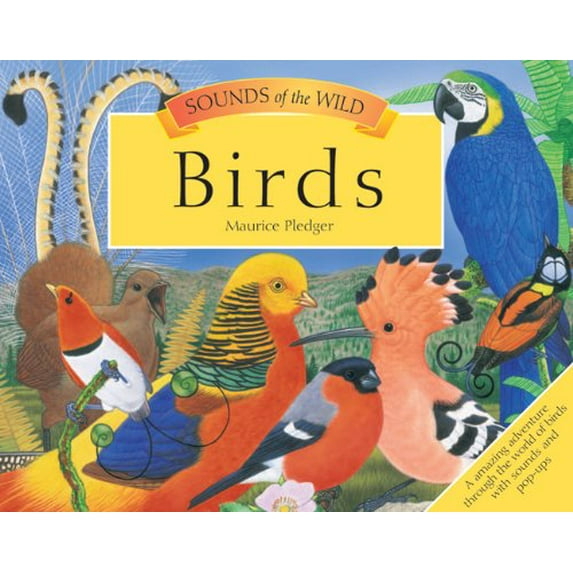 Pre-Owned Sounds of the Wild: Birds (Paperback) 1607101262 9781607101260