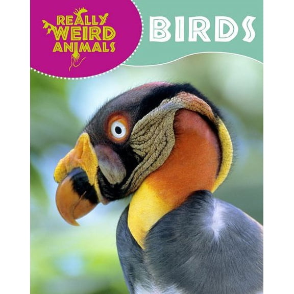 Pre-Owned Birds (Hardcover) 9781848379589