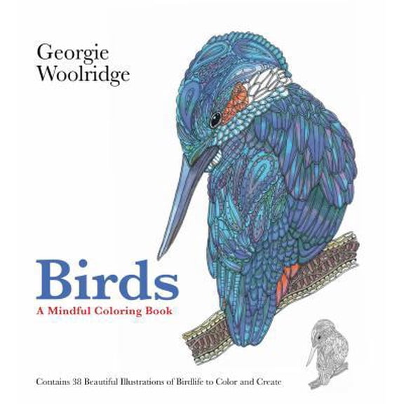 Pre-Owned Birds: A Mindful Coloring Book (Paperback) 1250095026 9781250095022