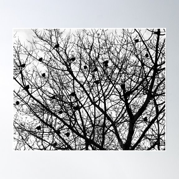 Birds And Branches Poster Wall Art, Modern Wall Decor, 8x12 UNFRAMED