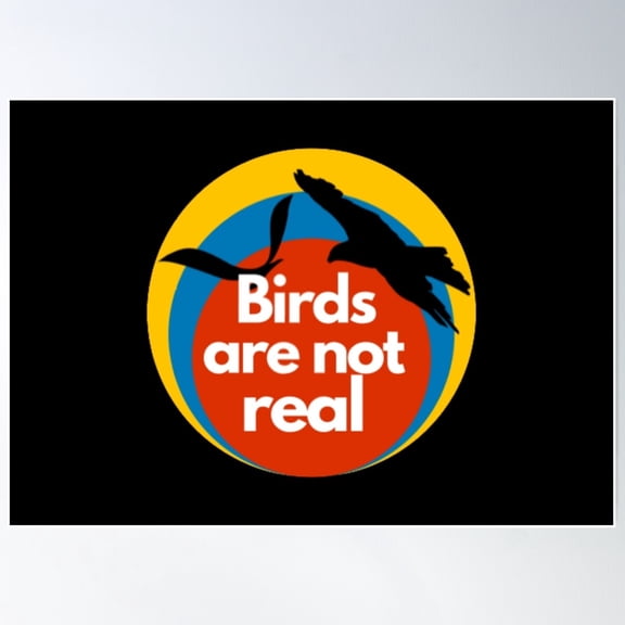 Birds Are Not Real Poster Wall Art, Modern Wall Decor For Living Room Bedroom, 16x24 UNFRAMED