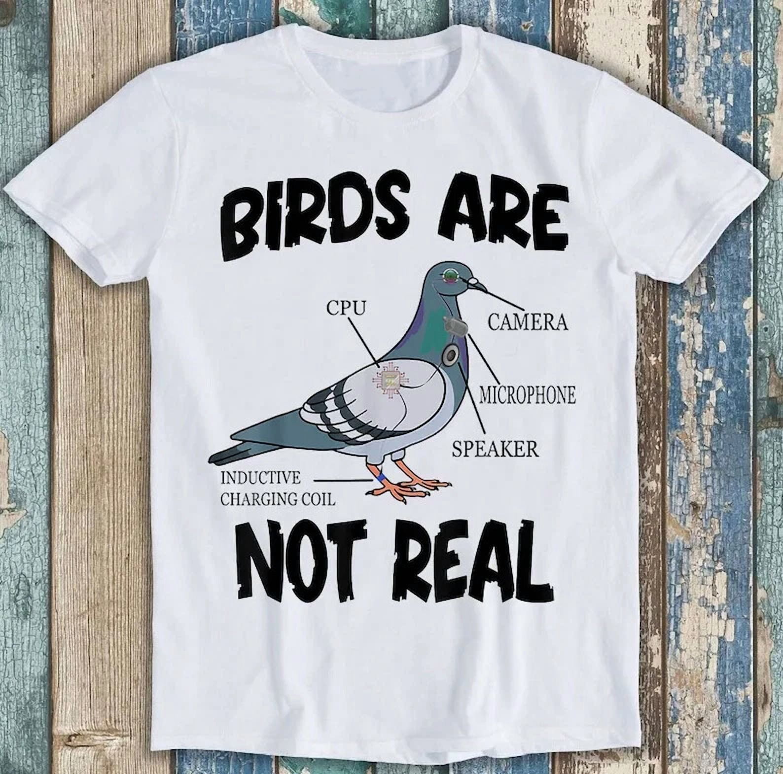 Birds Aren #39 t Real Funny Pigeon Spy Drone Government Conspiracy Meme Birds Aren #39 t Real Funny Pigeon Spy Drone Government Conspiracy Meme