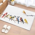 thumbnail image 1 of Birds Bathroom Rug Washable 2x3 Entryway Rug Non Slip Bird Vintage Watercolor Front Door Mat Low Pile Indoor Doormat Throw Floor Carpet for Kitchen Bedroom Entrance, 1 of 8
