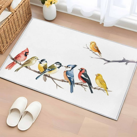 Birds Bathroom Rug Washable 2x3 Entryway Rug Non Slip Bird Vintage Watercolor Front Door Mat Low Pile Indoor Doormat Throw Floor Carpet for Kitchen Bedroom Entrance