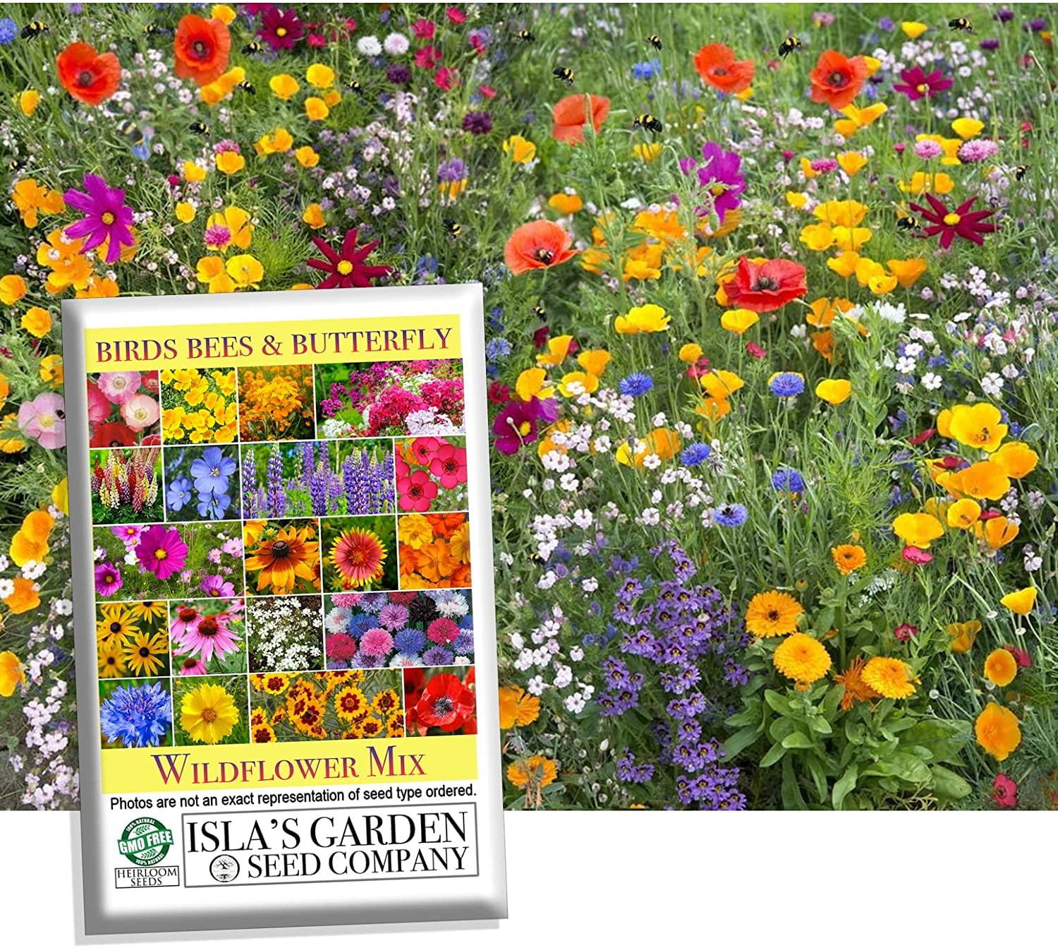 Birds, Bees, and Butterflies Mix Flower Seeds, 500 Seeds Per Packet