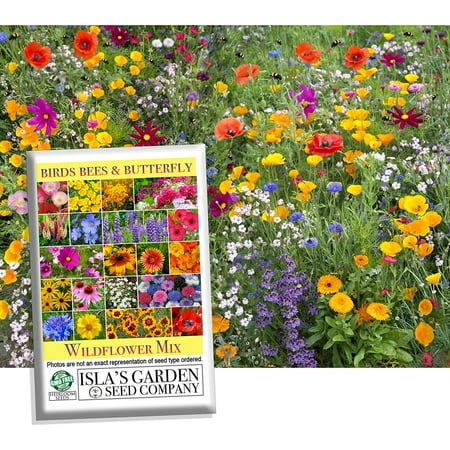 Birds, Bees, and Butterflies Mix Flower Seeds, 500 Seeds Per Packet