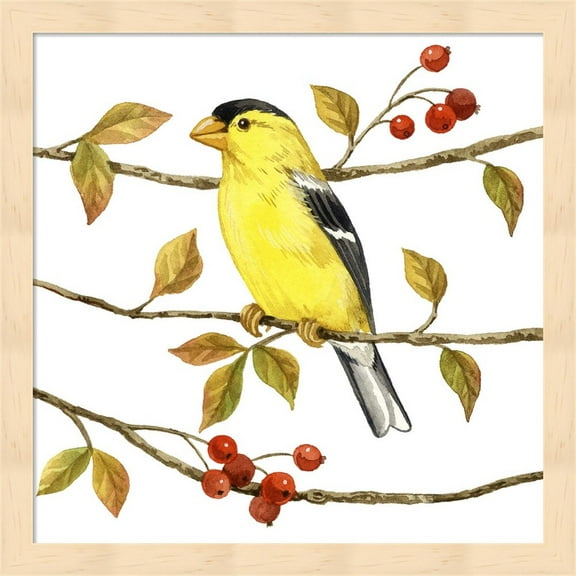 Birds & Berries II by Jane Maday, Framed Wall Art, 13.25W x 13.25H