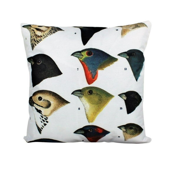 Birds | Birds of Paradise | Love Birds | Bird Decor | Pillow Cover | Designer Pillows | Aesthetic Room Decor | Home Decor | Bird Lover