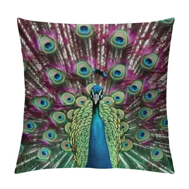 Birds Blue Spring Wild Color Animal Peacock Pet Beauty Velvet Throw