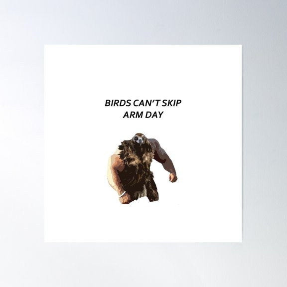 Birds Can'T Skip Arm Day Poster Wall Art, Modern Wall Decor For Living Room Bedroom, 16X16 UNFRAMED
