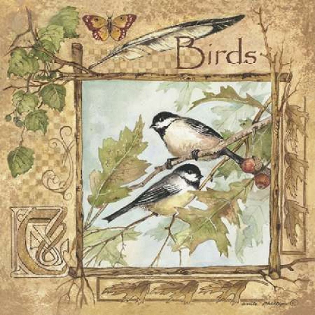 Birds Canvas Art - Anita Phillips (24 x 24)