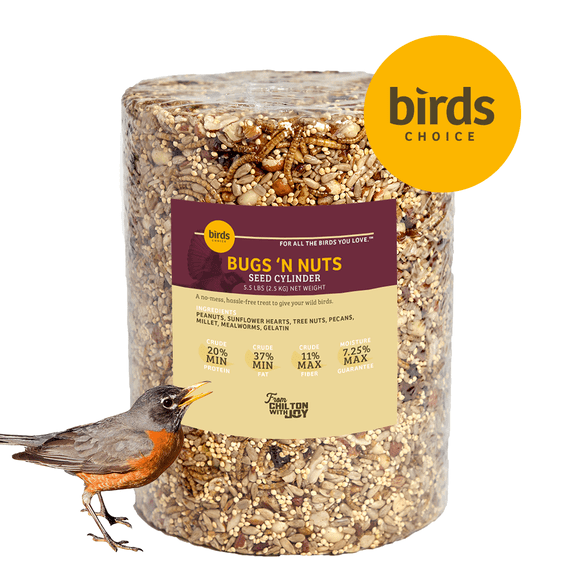 Birds Choice Bugs & Nuts Seed Cylinder - Large
