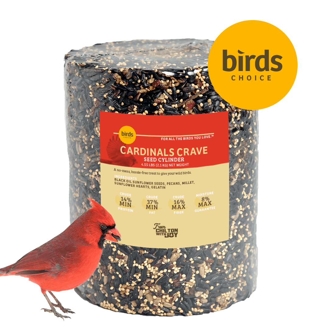 Birds Choice Cardinals Crave Seed Cylinder - Large