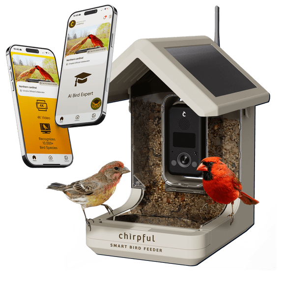 Birds Choice Chirpful Smart Solar-Powered Bird Feeder with 4k Camera, AI bird identification