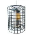 thumbnail image 1 of Birds Choice Double Suet Bird Feeder, 1 of 4