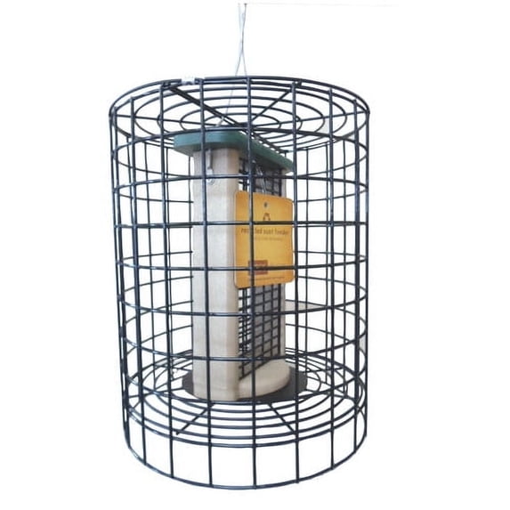 Birds Choice Double Suet Bird Feeder