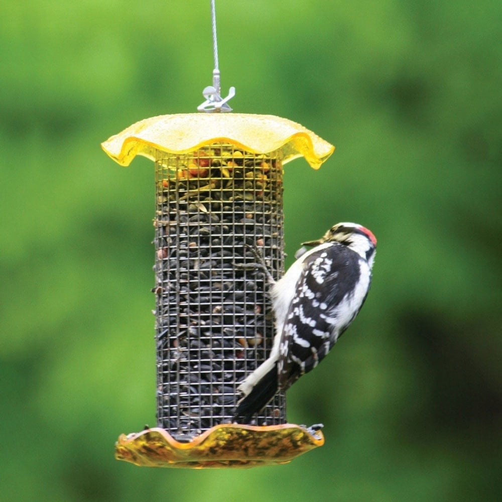 Yellow Hanging Stainless Steel and Acrylic Bird Feeder