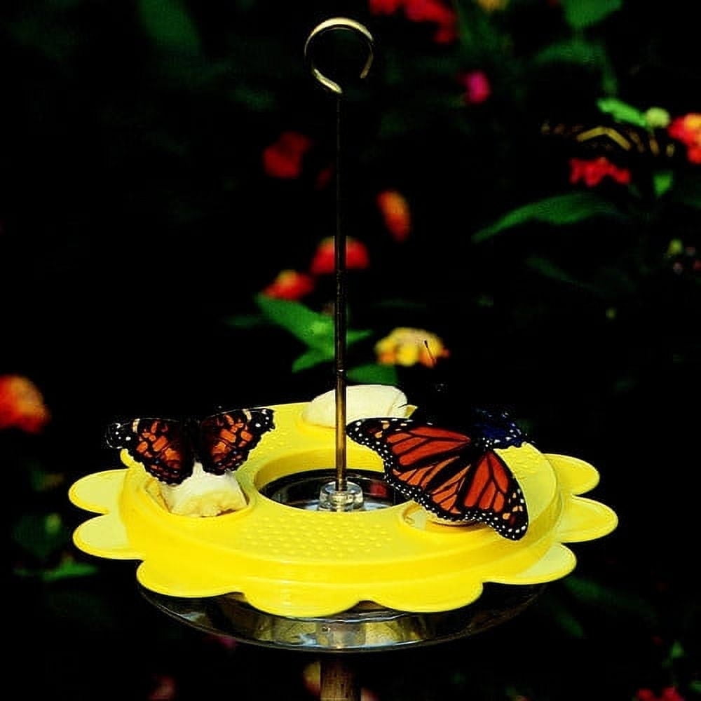 Birds Choice Flutterby Butterfly Feeder for 12 oz. Nectar with Fruit Trays
