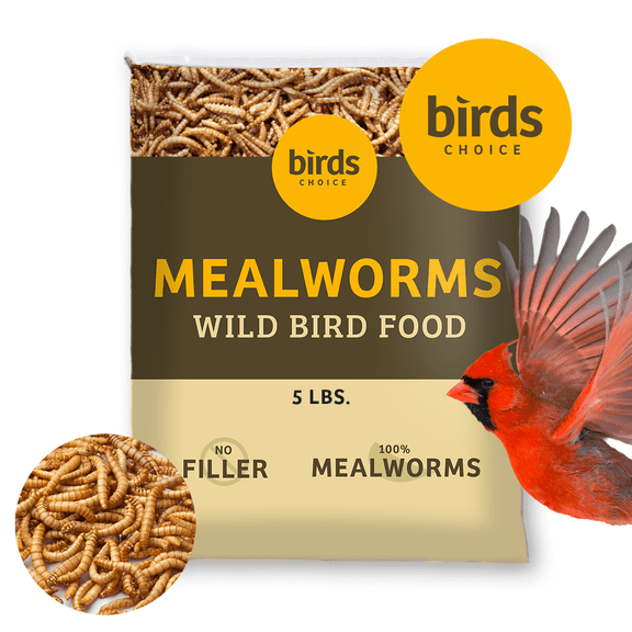 Birds Choice Mealworms - 5 lbs.