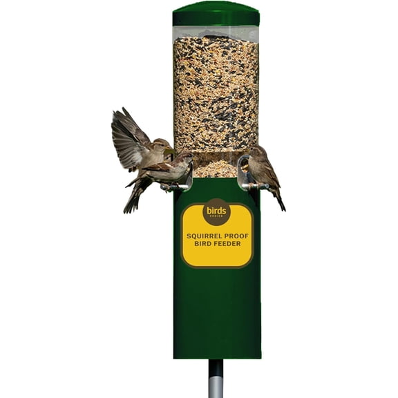Birds Choice Squirrel Proof Bird Feeder with Pole and Squirrel Baffle, Green
