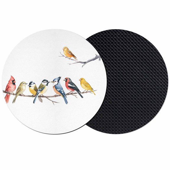 Birds Coasters Set of 2, Absorbent Coasters for Drinks, Bird Vintage Watercolor Coaster for Desk Coffee Table Protection, Home Decor House Warming Gifts 4"