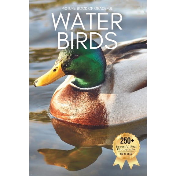 Birds Coffee Table Books Picture Book of Graceful Water Birds: A Peaceful Collection of Real Bird Photography for Seniors Living with Memory Loss, (Paperback)