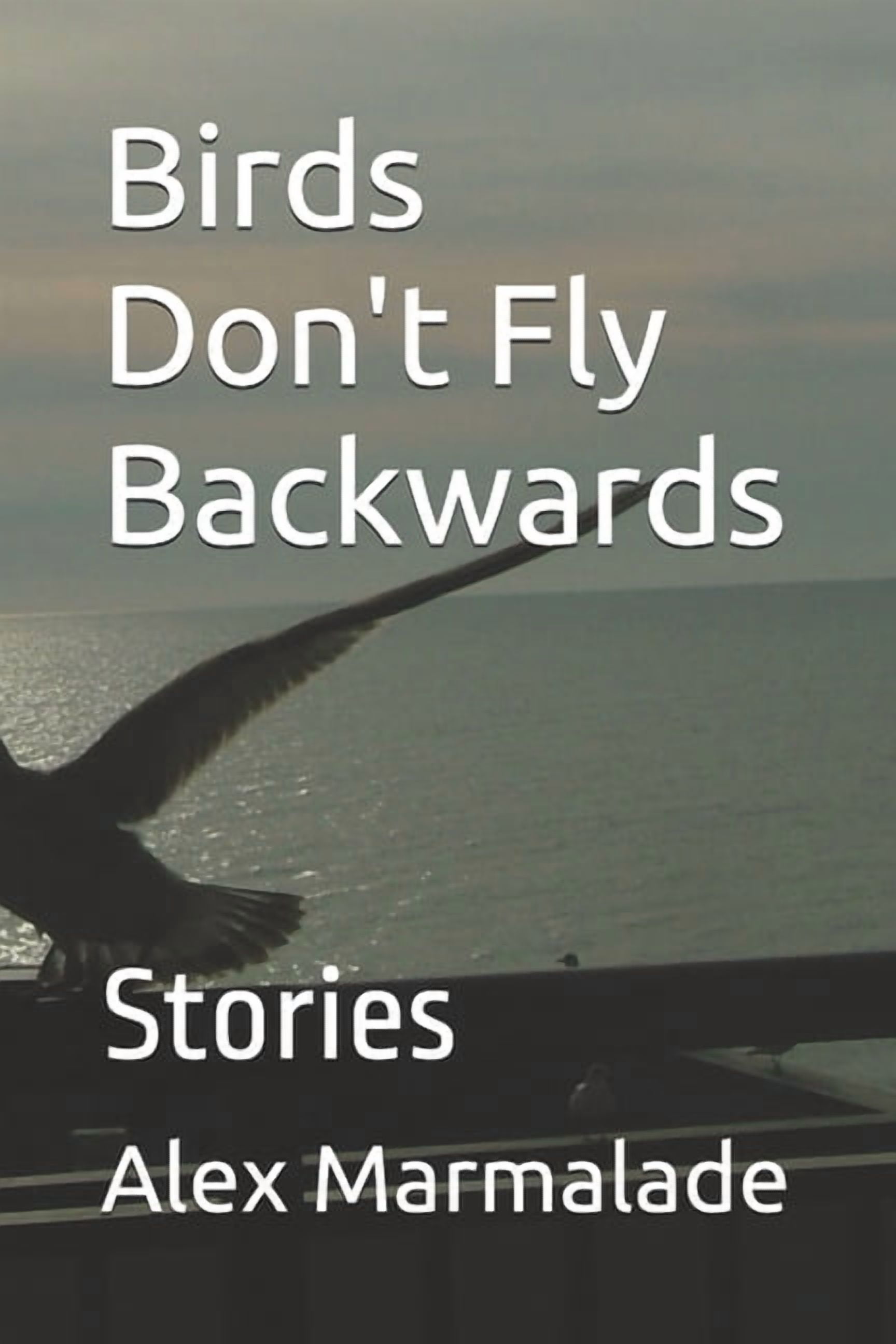 Birds Don't Fly Backwards: Stories, (Paperback)