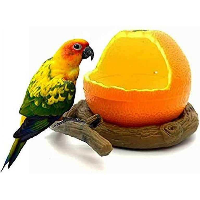 Conure accessories cheap