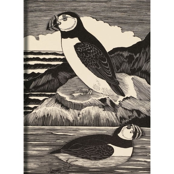 Birds Journal (Hardcover)