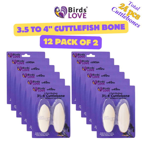 Birds LOVE - 3.5 to 4" Cuttlefish Bone - Natural Cuttlebone for Birds Parakeet & All Breeds| Cuttlebone for Tortoise & Snails | Calcium Block for Birds Alternative - 12 Packs of 2 (24 pcs)