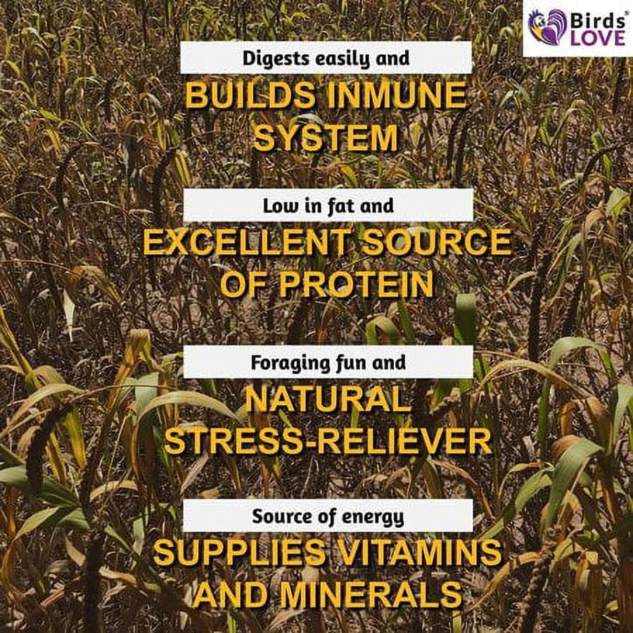 Birds LOVE Breeders Special Spray Millet for Birds Cockatiel Lovebird