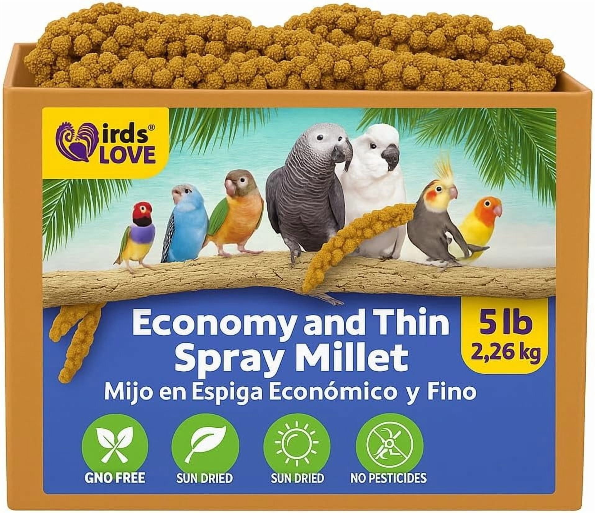 Birds LOVE Economy & Special Spray Millet for Birds, No Stems Non-GMO Sun-Dried Edible Millet Tops for Cockatiels, Lovebirds, Parakeets, Finches & Canaries, 5 lb