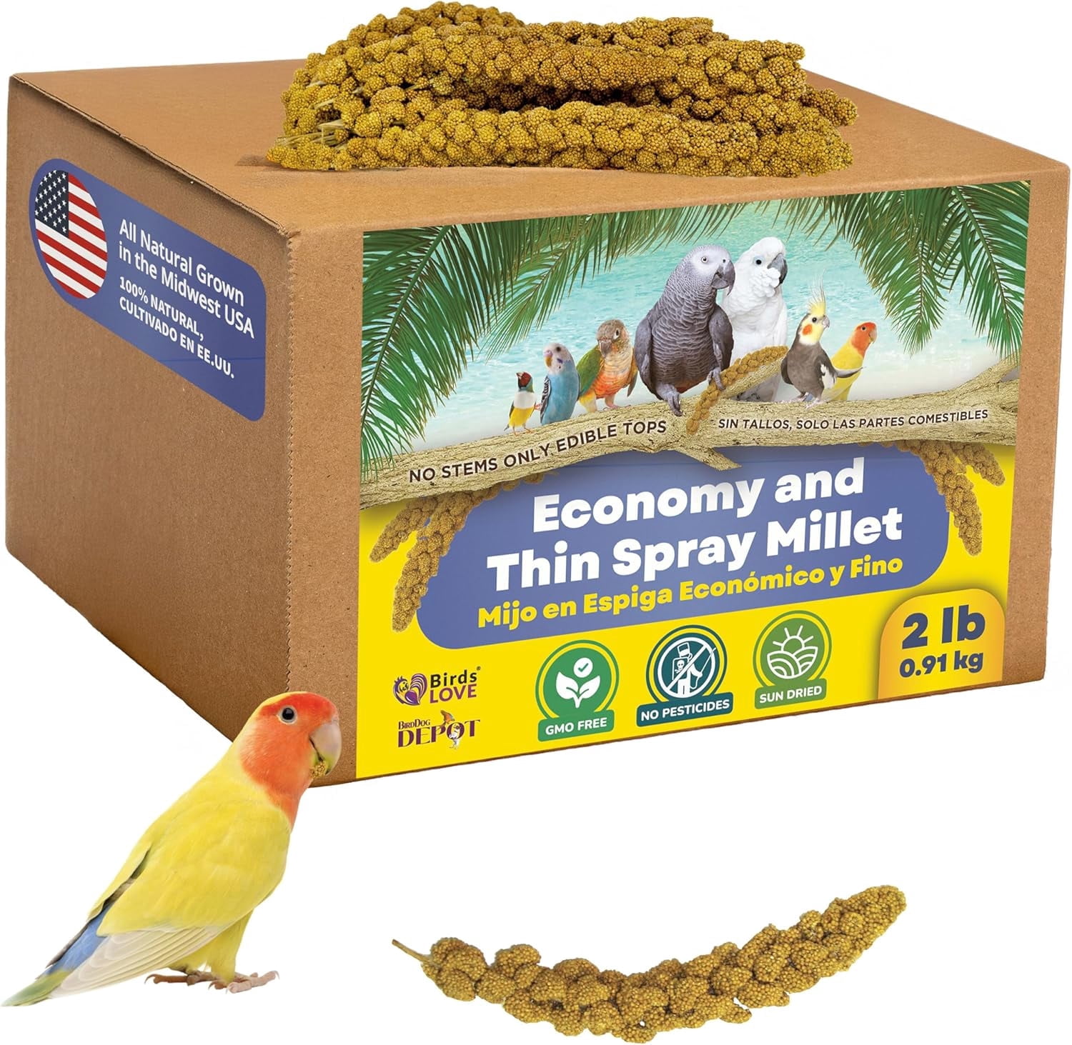 Birds LOVE Economy & Special Spray Millet for Birds, No Stems Non-GMO Sun-Dried Edible Millet Tops for Cockatiels, Lovebirds, Parakeets, Finches & Canaries, 2 lb