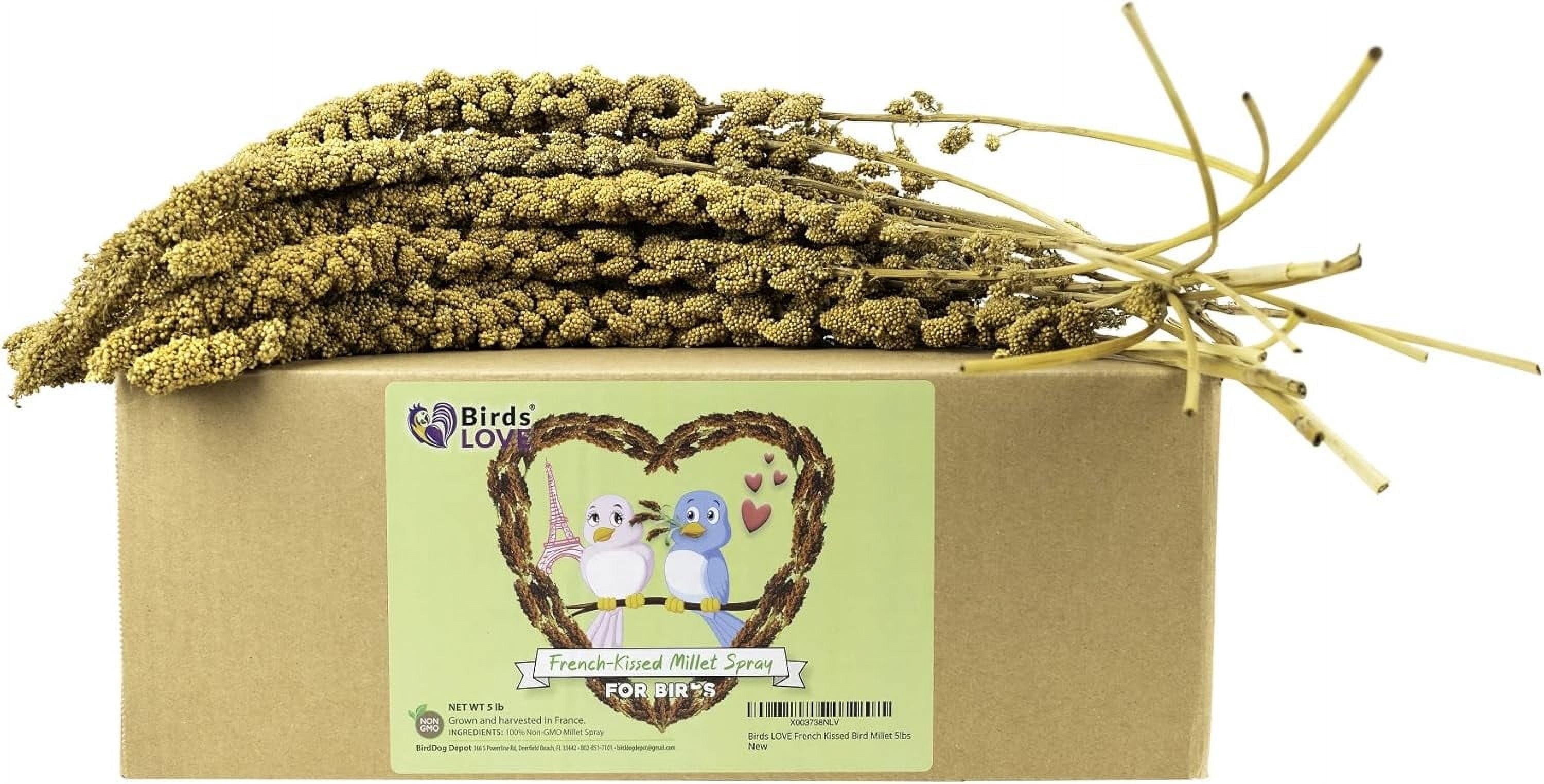 Birds LOVE French Kissed Spray Millet for Birds, USA Grown, 100% Natural Sun-Dried Millet Treat for Parakeets, Cockatiels, Conures & Budgies, Non GMO, 5 lb