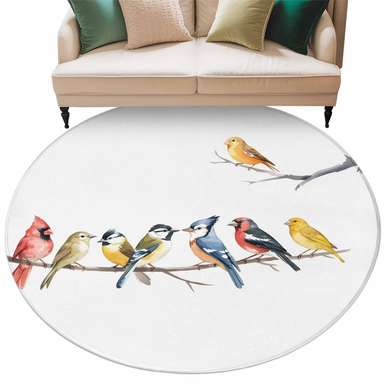 Birds Large Area Rugs for Bedroom Living Room, Soft Non Slip Carpet ...