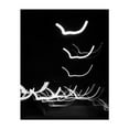 thumbnail image 1 of Birds of Light - Athens Greece Photography Abstract Black and White Minimalist Nightlife Modern Art Psychedelic Geometric Unframed Wall Art Print 24 x 30 inches, 1 of 69