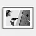 thumbnail image 1 of The Birds - Manhattan New York Photography Bird Black and White Wildlife Minimalist Street Photography Moody Black Framed Wall Art Print 16 x 24 inches, 1 of 4