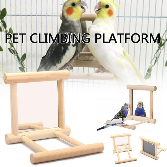 Birds Mirror Toy Parrots Hanging Swing Wooden Stand Bar for Pet