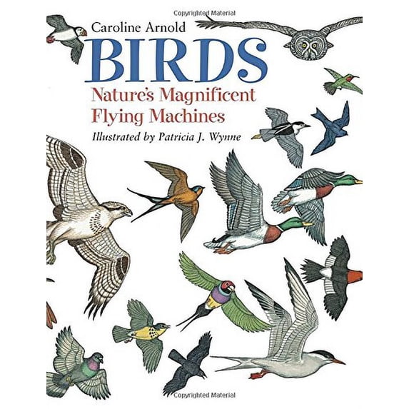 Pre-Owned Birds: Nature's Magnificent Flying Machines (Hardcover) 1570915164 9781570915161