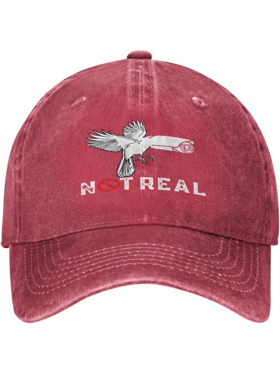 Birds Not Real Cap If It Flies It Spies Hat If It Flies It Dies Hat and are Not Real Hat Unisex Baseball Cap