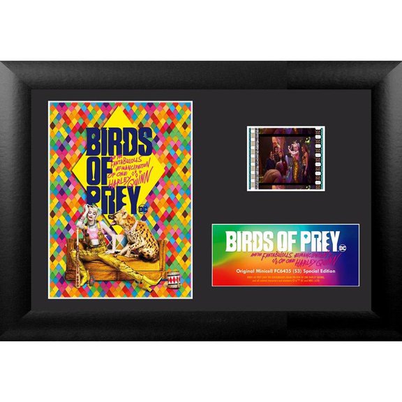 Birds Of Prey (Bud & Lou) Minicell FilmCells Framed Desktop Presentation USFC6435
