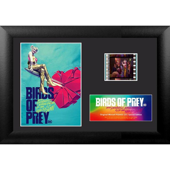 Birds Of Prey (Heart Breaker) Minicell FilmCells Framed Desktop Presentation USFC6433