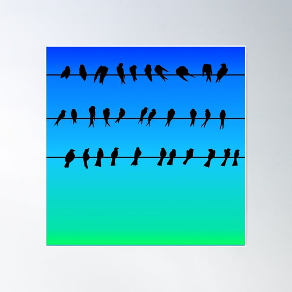 Birds On A Wire No.1 Poster Wall Art, Modern Wall Decor, 30x30 UNFRAMED